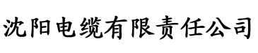 亚洲国产在一区二区三区电缆厂logo